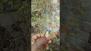 BOM 🤯😮💯  #viralshort #viralvideo #simplescience #physics #science #keepgoing #keepsupporting