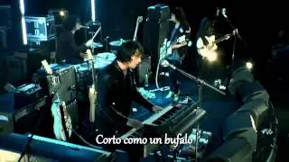 The Dead Weather I Cut Like A Buffalo Subtitulado