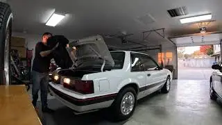 Take a Ride in a Survivor 1989 Mustang LX Notchback