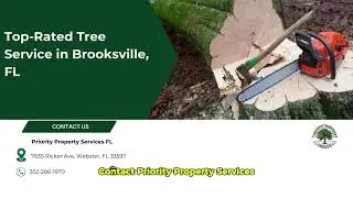 Why is tree removal so expensive in Brooksville, FL?