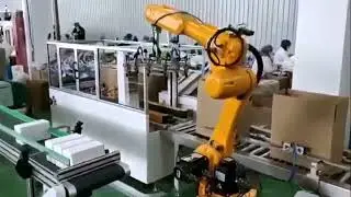 Masks carton boxing packaging line