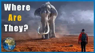 Where are the Mammoth Clones?
