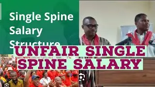 Unfair Single Spine Salary and Allowance Negotiations _ Public Sector Workers - PWSU Declares Strike