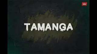 Ude Nation ft Nerve ZM - Tamanga