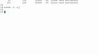 SADS: RAID (Redudent Array of Independent Disks)