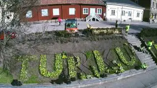 Kuntec istuttaa kevään ensimmäiset kukkaset Turku-Åbo-tekstiin