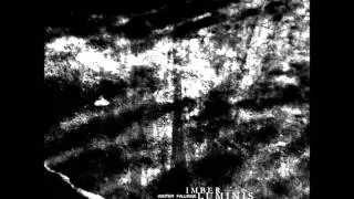 Imber Luminis- I Can Hear The Birds Crying