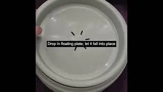 Road Refresher Dog Bowl Review