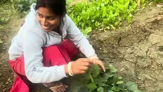 Chalo khet chale #vlog 23