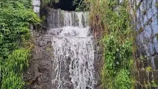Yercaud  Hills Roadside View I Mini Falls on the way I  Beautiful natural views live
