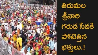 Heavy Rush In Tirumala Sri Venkateswara Swamy Temple For Garuda Seva 2022