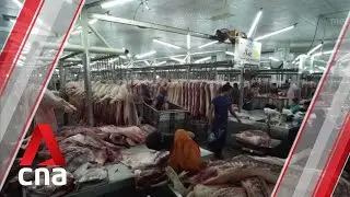 G20 carbon footprint highest in meat-loving nations: Report