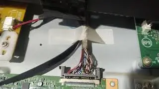 AOC 43