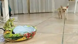 Ceramic fountain