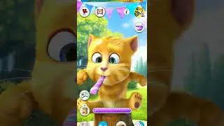 mi tom parlante 102! My talking ginger #shorts #cat #ytshort #funnyvideo