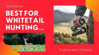 Best Binoculars for Whitetail Hunting