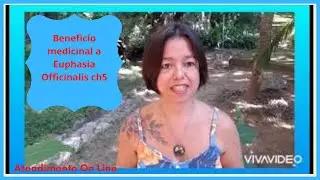 Beneficio medicinal da Euphasia Officinalis ch5