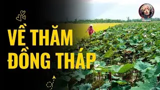 Về thăm Đồng Tháp