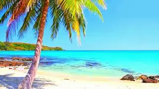 Tropical Beach 1 Hour | Paradise Beach Sounds | Ocean Sounds for Sleep Meditation