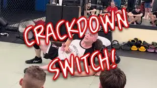 CRACKDOWN SWITCH FROM THE TURTLE: SNAKE PIT U.S.A.