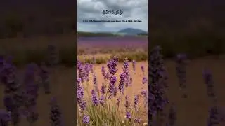 Al-Ikhlas|Surah 112|TheHolyQuran| @alafasy #shorts #islam #Quran #recitation #remedyforabrokenheart