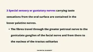Soft Palate #General Anatomy #Soft Palate #BDS #dental #CM Dental Academy