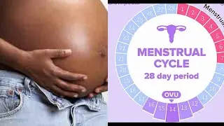 TRYING TO CONCEIVE:HOW TO CALCULATE YOUR OVULATION/MENSTRUATION/BEST APP FOR IPHONES AND ANDROID