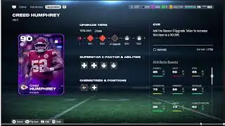 What My Team looks like