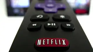 Netflix hits 40 million users for ad-supported plan | REUTERS