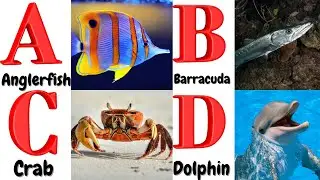 ABC Song | Sea Animals ABC Song | Phonics for Kids, Learn ABC, Baby Alphabet Letters