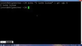 How to simulate typing effect in Linux terminal