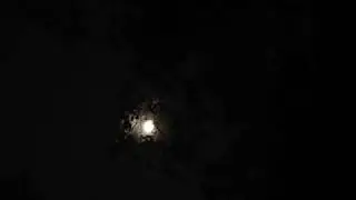 World Gone Dark (Stop-motion animation)