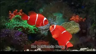 finding nemo movie summary