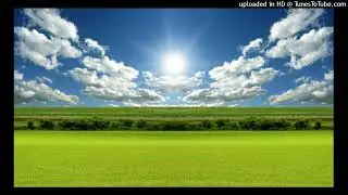 Stephen Doyle - Sonic Diary (SUNNY DAY NOW SOLVED)