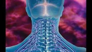 Health Seminars by Beverly Hills, Los Angeles, West Hollywood Chiropractor Dr. Nick Campos
