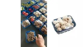 Wrapping machine for mushroom, fruits