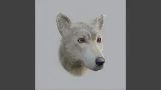 Neolithic Dog