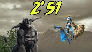MH Rise - Hammer solo Rajang 2'51