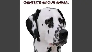 Rendez-vous chez l'animalier