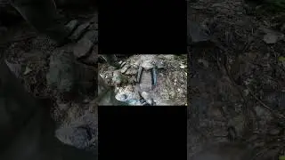 Gathering gold bearing dirt with gold suction tube on bedrock (Part 3)