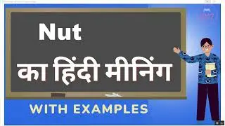 Nut Ka Kya Matlab Hota Hai | Nut Meaning in Hindi | Nut का हिंदी में अर्थ