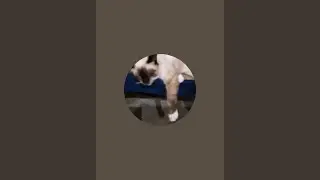 ¡nico está emitiendo en directo!