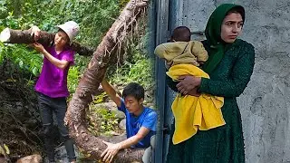 PLERD - Building a Sustainable Kitchen, Into the Harvest Forest - Poor Life p4