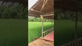 Orang Baik@Legor ทริปบ้านควนรุย EP_6