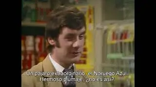 Monty Python - El loro muerto (V.O. subtitulada espa&ntilde;ol). Versi&oacute;n Flying Circus