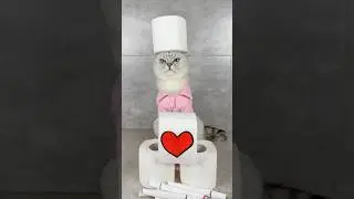 Magic Art! Try this when you&rsquo;re bored 😻❤️ #shorts #cats