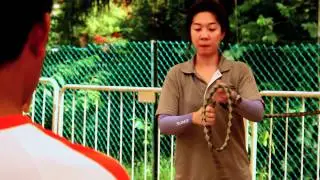 EQUAL ARK Singapore