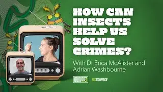 How Can Insects Help Us Solve Crimes? With Entomologist Dr Erica McAlister And Adrian Washbourne