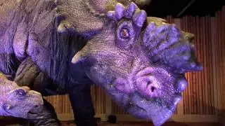 Visiting Jurassic World - Petting Zoo and Baby Dinosaurs