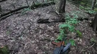 WASR 10/63